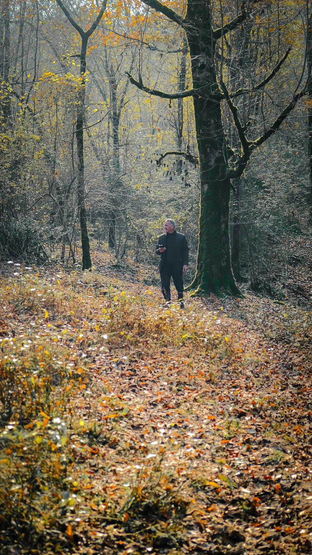 Técnicas de PNL en el coaching